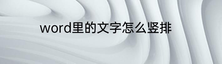 word里的文字怎么竖排