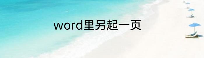 word里另起一页
