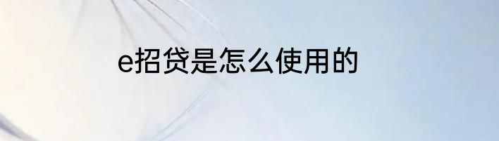 e招贷是怎么使用的