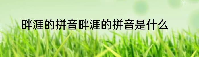 畔涯的拼音畔涯的拼音是什么