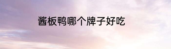 酱板鸭哪个牌子好吃