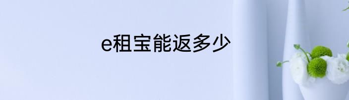 e租宝能返多少
