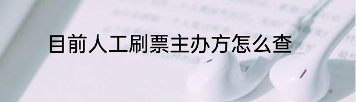 目前人工刷票主办方怎么查