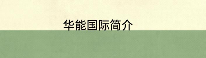 华能国际简介