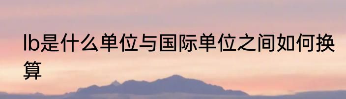 lb是什么单位与国际单位之间如何换算