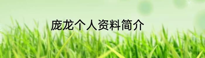 庞龙个人资料简介