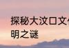 探秘大汶口文化史前遗址的发现与文明之谜