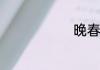 晚春翻译全文