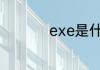 exe是什么格式的文件