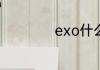 exo什么时候出道的
