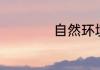 自然环境描写的作用