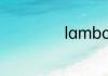 lamborg是什么车