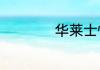 华莱士快餐怎么加盟