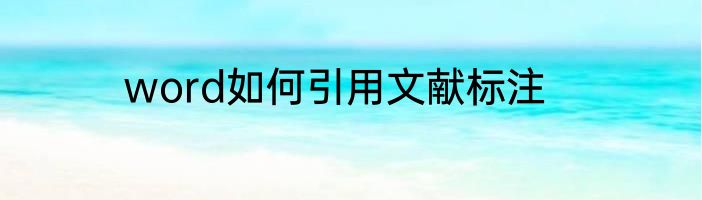 word如何引用文献标注