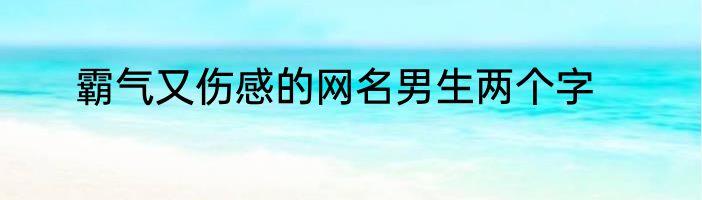 霸气又伤感的网名男生两个字