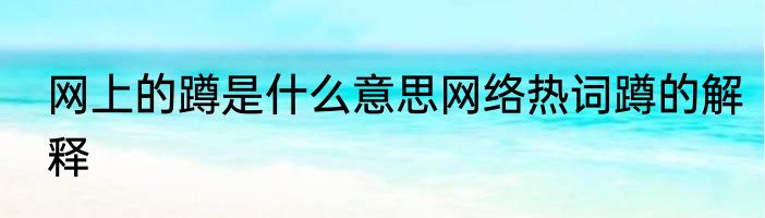 网上的蹲是什么意思网络热词蹲的解释