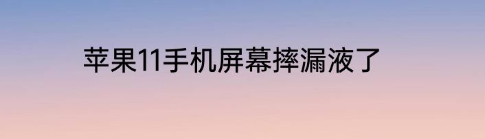 苹果11手机屏幕摔漏液了