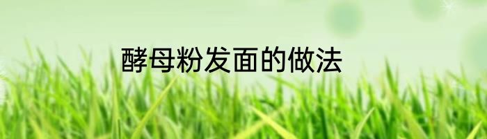酵母粉发面的做法