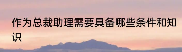 作为总裁助理需要具备哪些条件和知识