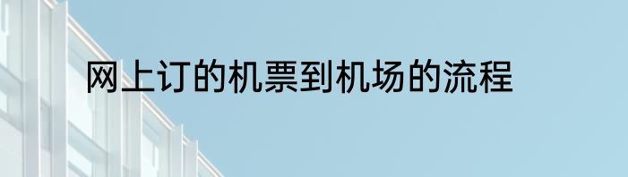 网上订的机票到机场的流程