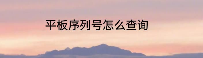 平板序列号怎么查询