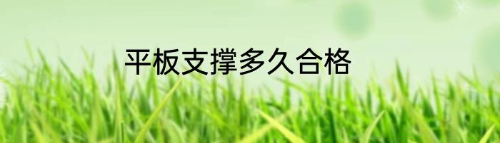 平板支撑多久合格