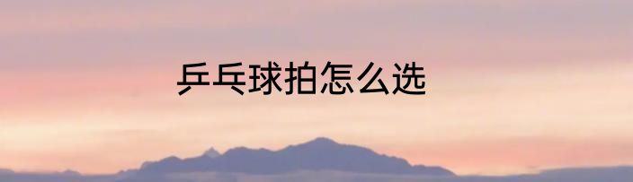 乒乓球拍怎么选