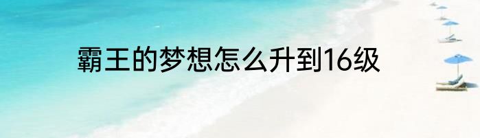 霸王的梦想怎么升到16级