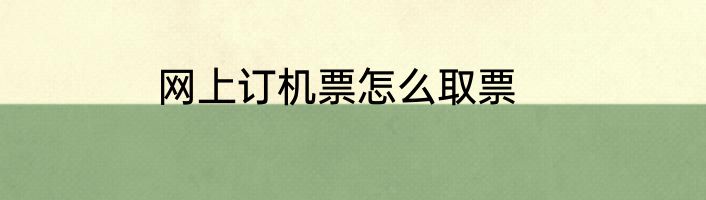网上订机票怎么取票