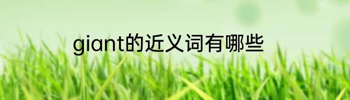 giant的近义词有哪些