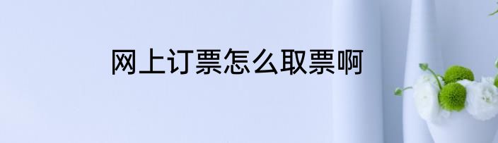 网上订票怎么取票啊