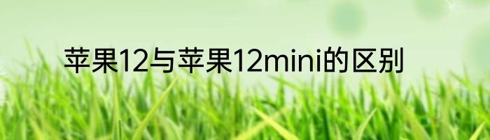 苹果12与苹果12mini的区别