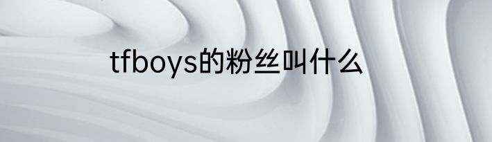 tfboys的粉丝叫什么