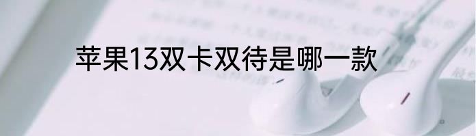 苹果13双卡双待是哪一款