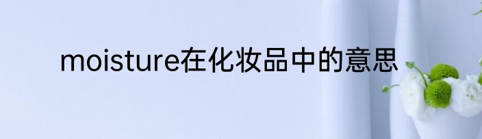 moisture在化妆品中的意思