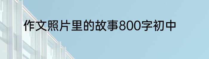 作文照片里的故事800字初中