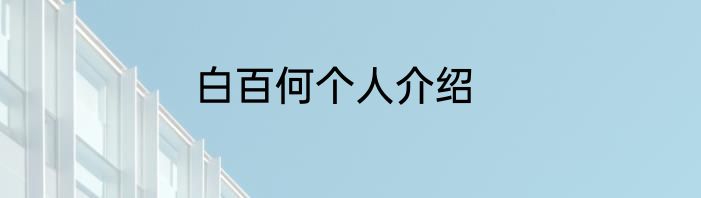 白百何个人介绍