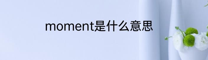 moment是什么意思