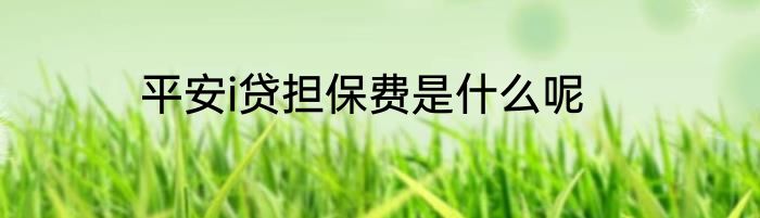 平安i贷担保费是什么呢