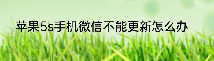 苹果5s手机微信不能更新怎么办