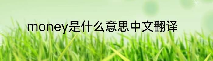 money是什么意思中文翻译