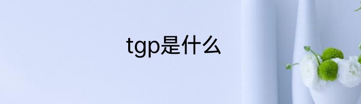 tgp是什么