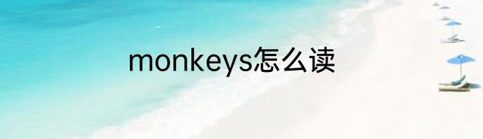 monkeys怎么读
