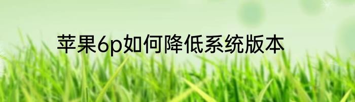 苹果6p如何降低系统版本