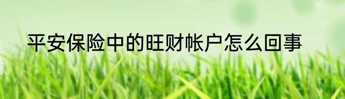 平安保险中的旺财帐户怎么回事