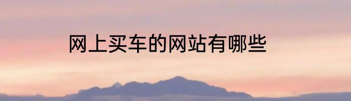 网上买车的网站有哪些