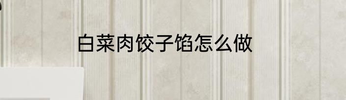 白菜肉饺子馅怎么做