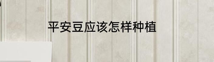 平安豆应该怎样种植