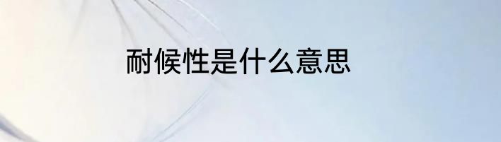 耐候性是什么意思