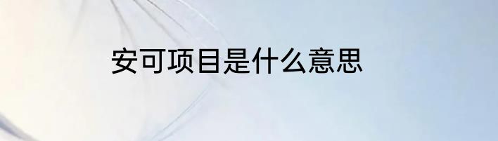 安可项目是什么意思